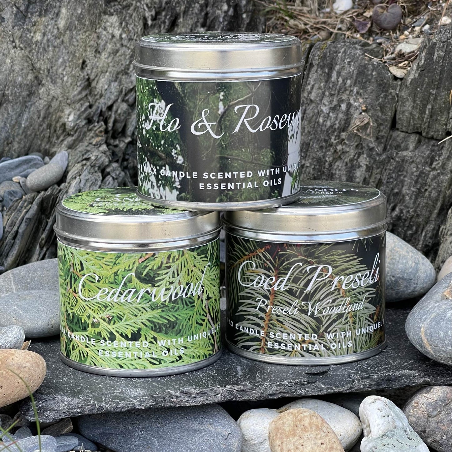 The Woodland Collection